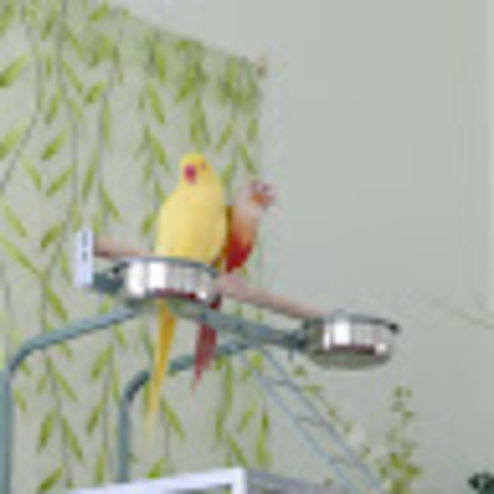 Meet your Posher, Kiwi